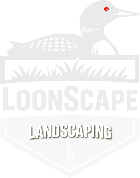loonscapemn.com